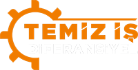 Temiz İş Diferansiyel